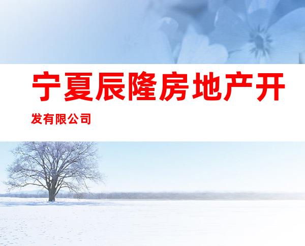 宁夏辰隆房地产开发有限公司
