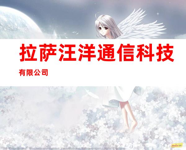 拉萨汪洋通信科技有限公司
