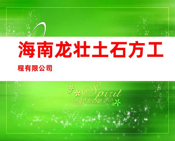 海南龙壮土石方工程有限公司
