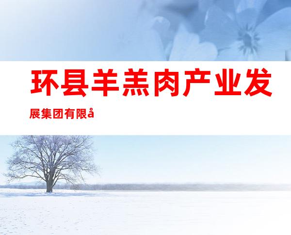 环县羊羔肉产业发展集团有限公司