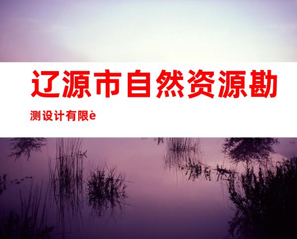 辽源市自然资源勘测设计有限责任公司